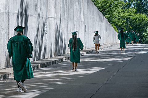 Baccalaureate Degrees | Michigan State University